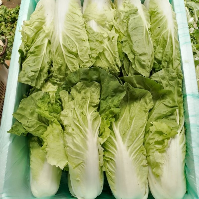 黄白