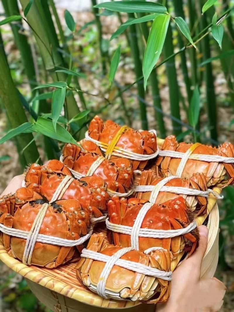 大闸蟹