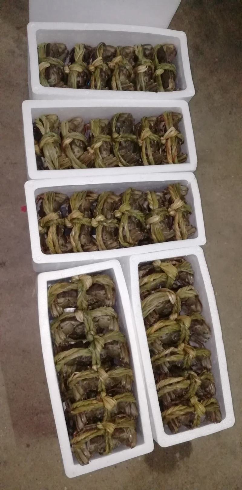 大闸蟹