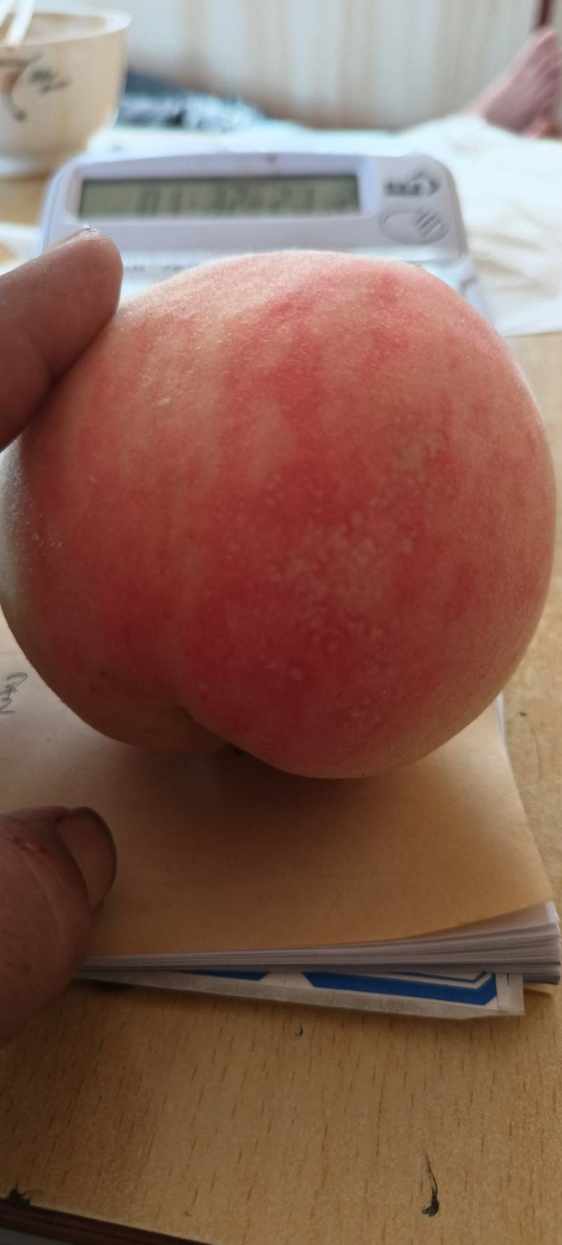 威县中秋密大量上市！亮度，色泽，口感好！欢迎广大客商前来