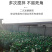发酵驴粪，禽类粪便，发酵粪便，动物粪便，产地发货质量保证