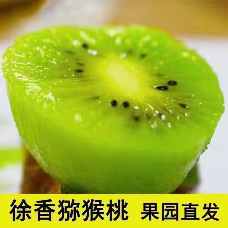 徐香猕猴桃