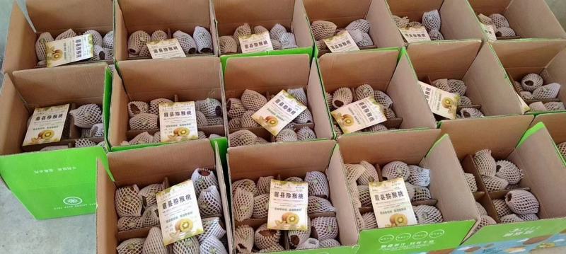 徐香猕猴桃