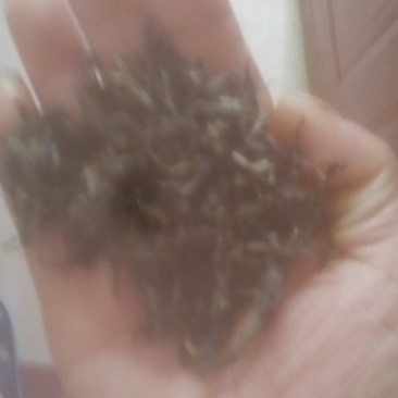 云南茶叶，红茶，绿茶都有