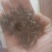 云南茶叶，红茶，绿茶都有