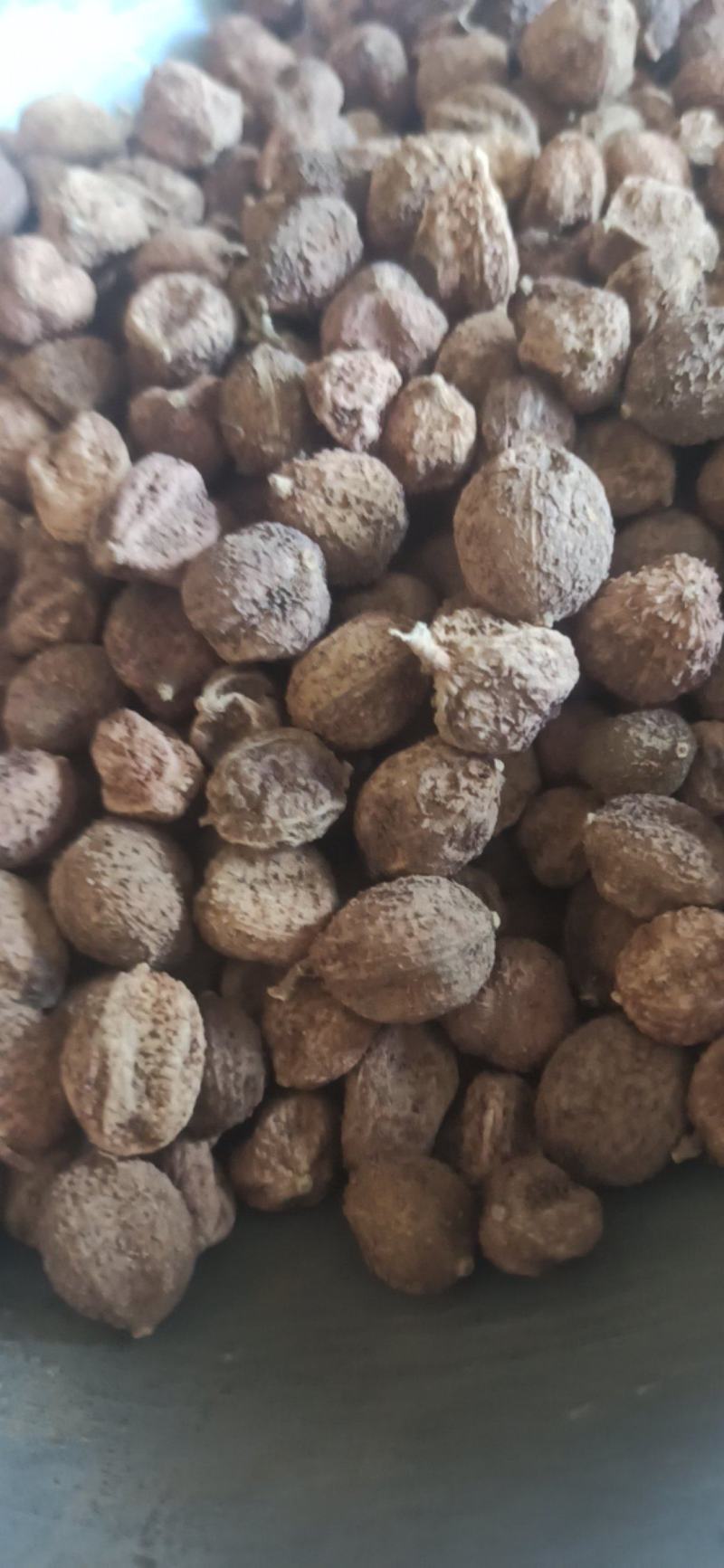 砂仁阳春砂中药材批发砂仁质量保证量大从优