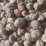 砂仁阳春砂中药材批发砂仁质量保证量大从优
