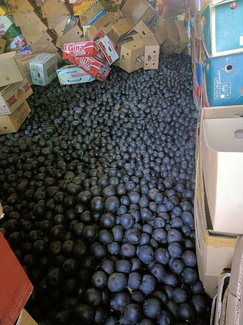 东北大冻梨2两4起-3两3