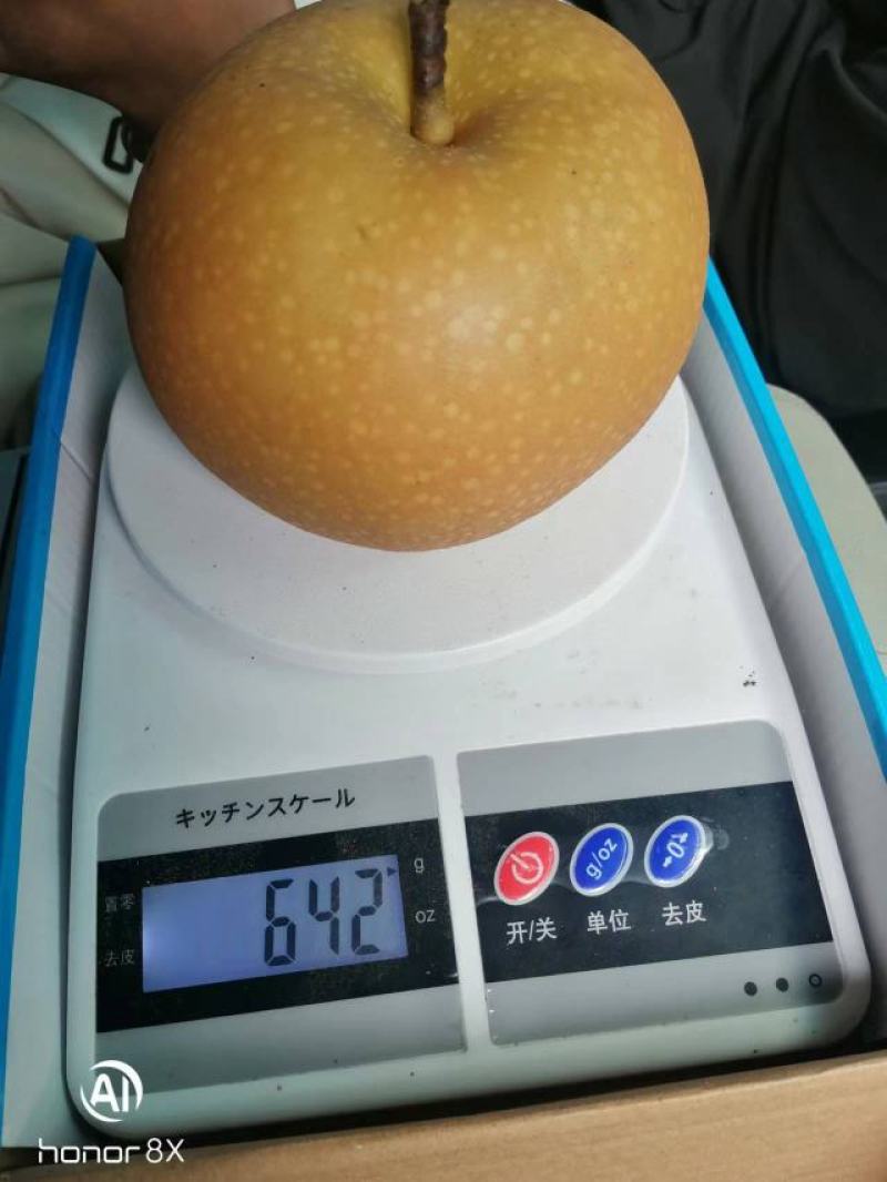 秋月梨，中秋佳节送礼佳品，想要的可以联系我