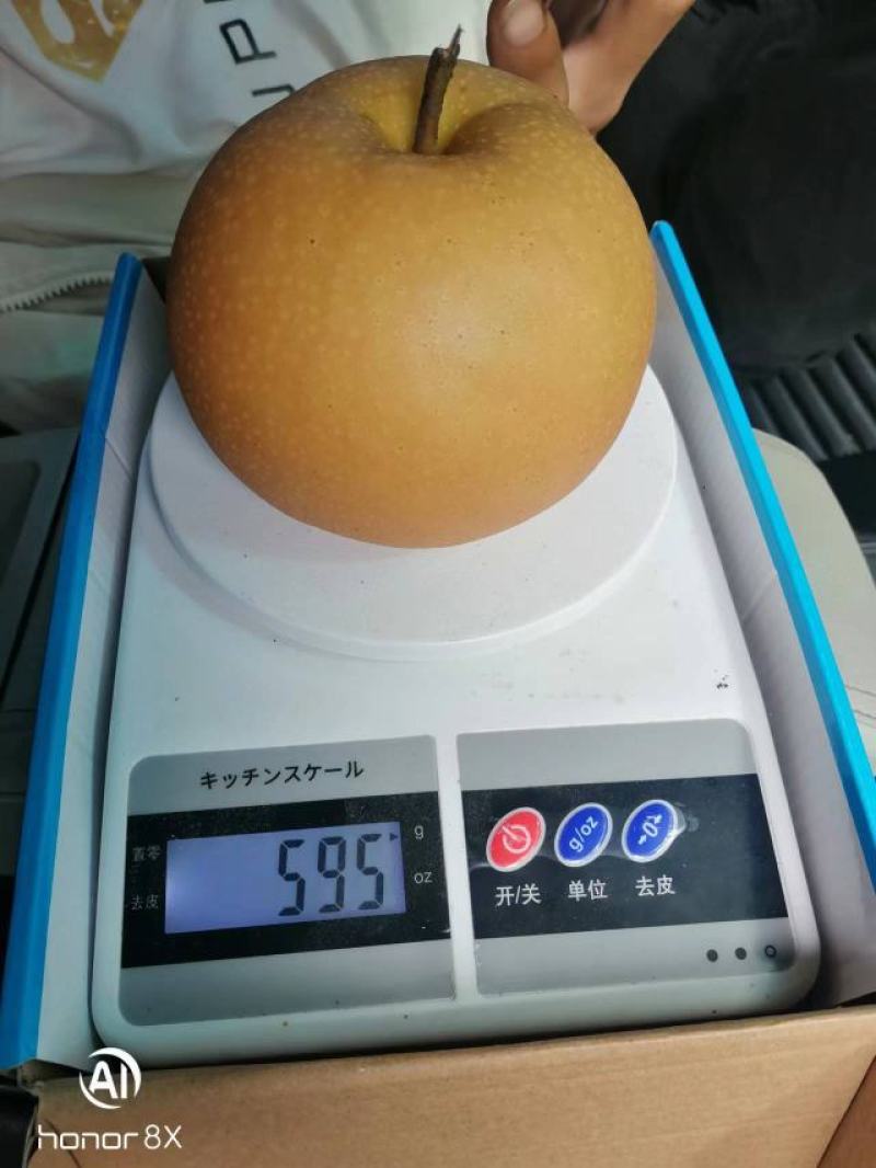 秋月梨，中秋佳节送礼佳品，想要的可以联系我