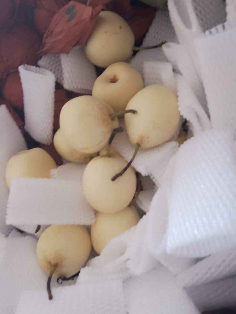 膜代鸭梨