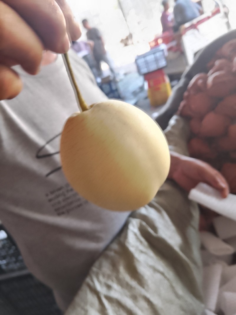膜代鸭梨