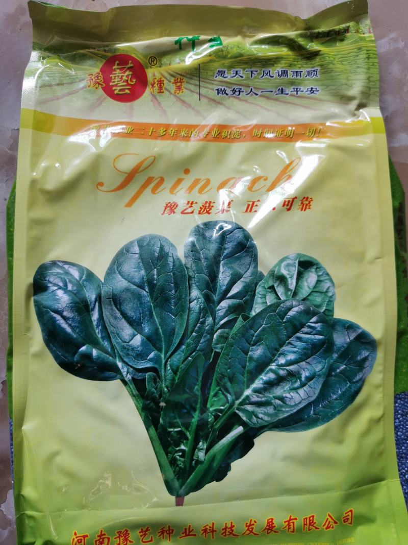 墨玉抗热王菠菜种子黑圆叶抗病进口直立红根菠菜种子原装发货