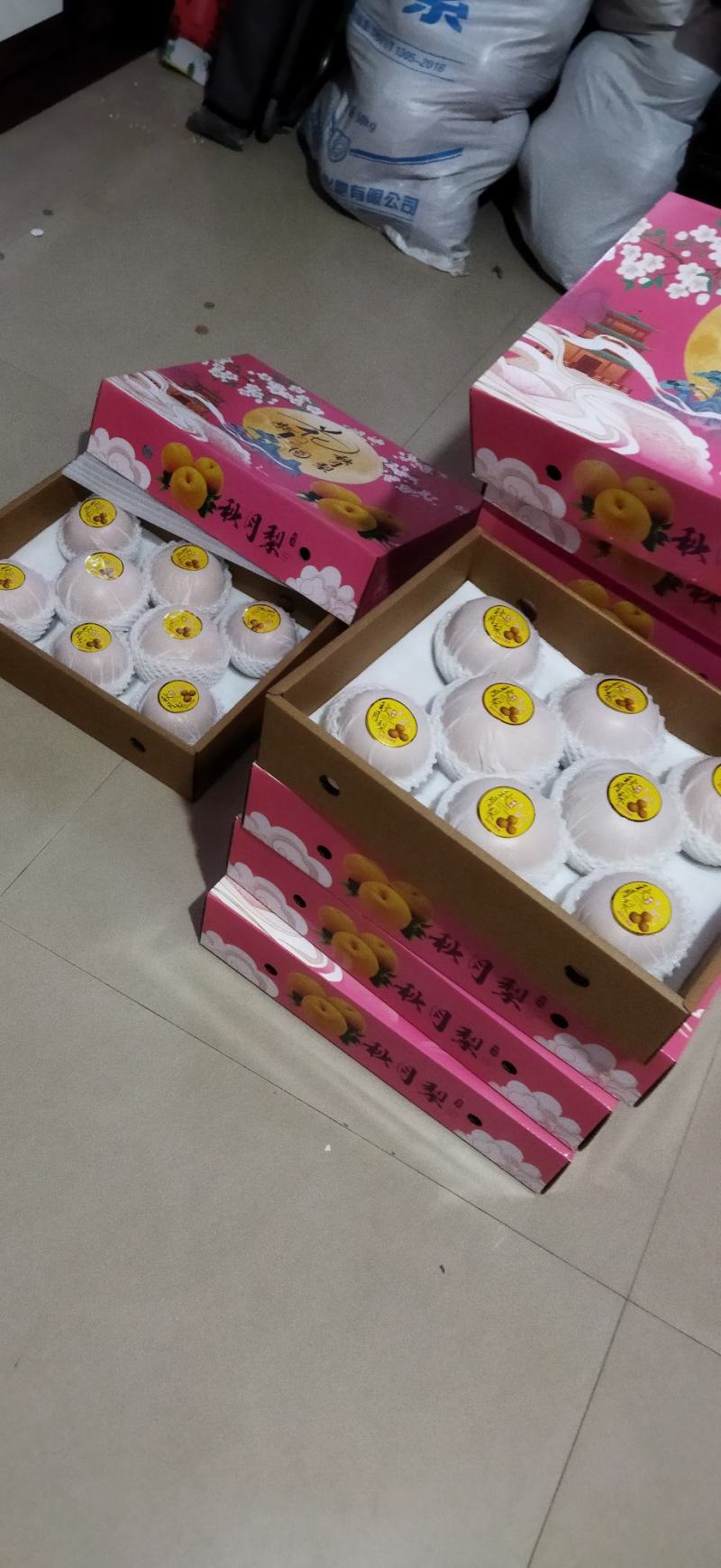 山东省秋月梨，品质好，货量70以上的