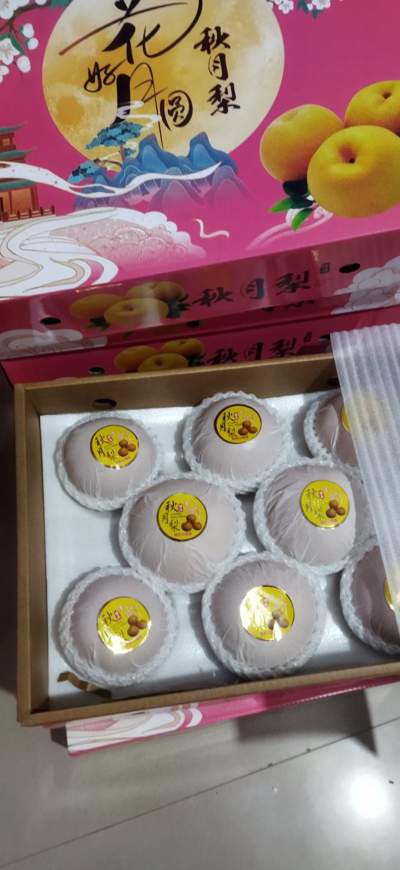 山东省秋月梨，品质好，货量70以上的