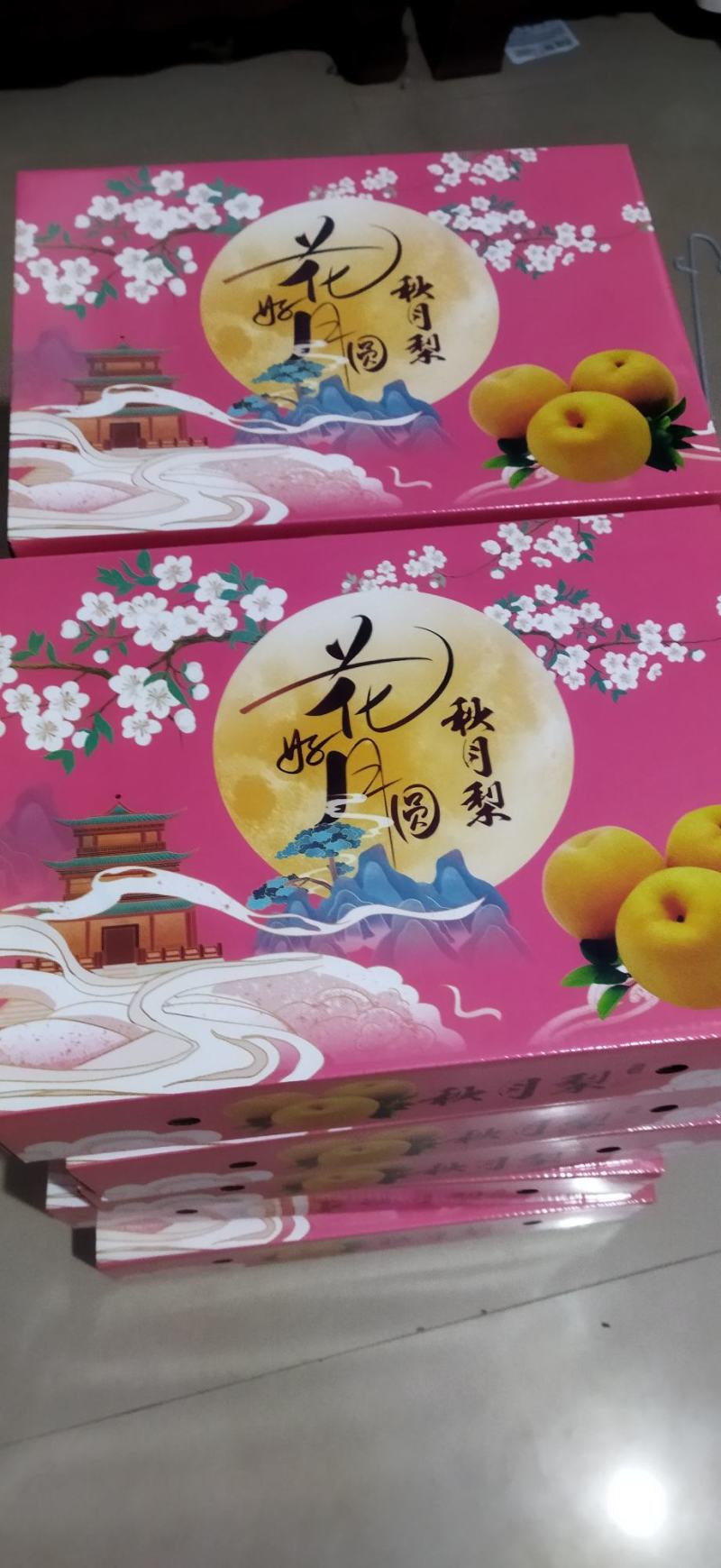 山东省秋月梨，品质好，货量70以上的