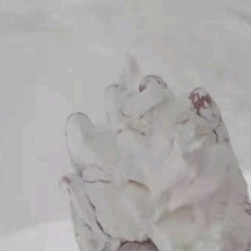 老挝木薯淀粉