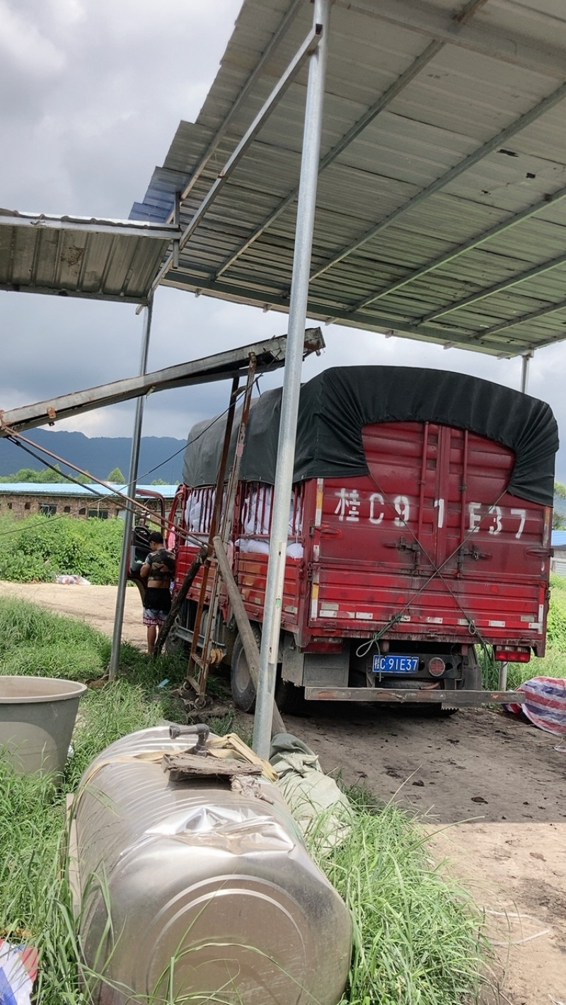 广西养殖场发酵鸡粪效果好大量有货量大从优欢迎来电