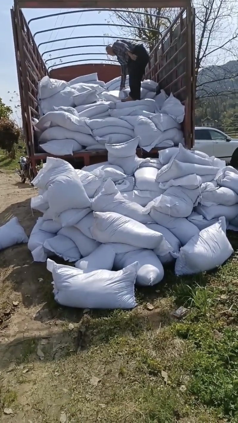 广西养殖场发酵鸡粪效果好大量有货量大从优欢迎来电