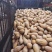 南瓜大量供应、质量保证、支持各种包装、欢迎采购1111