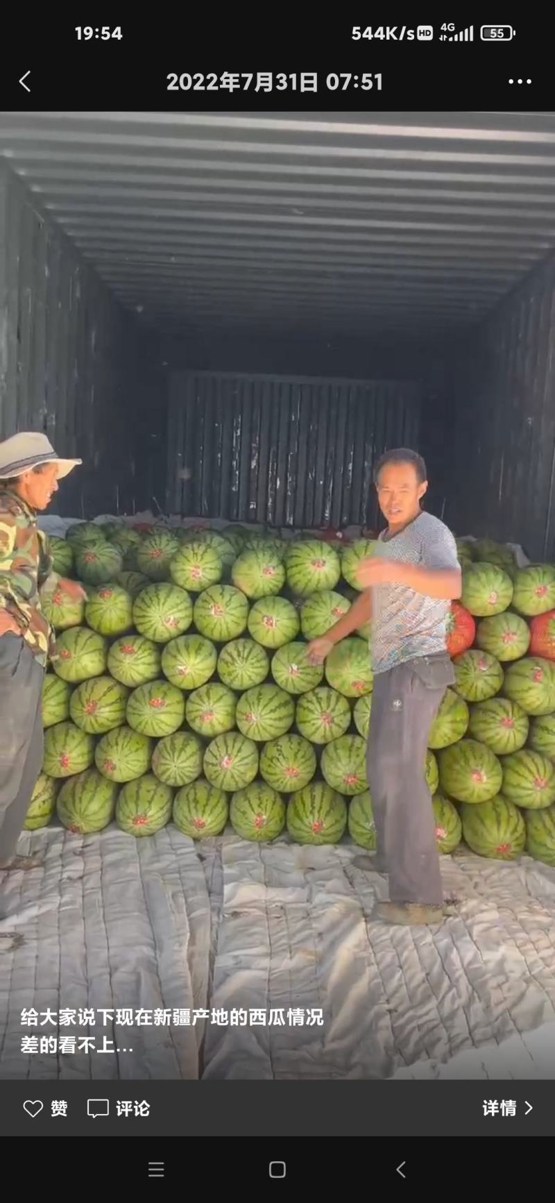 金城，安农，京欣，甜王，新疆西瓜现货充足