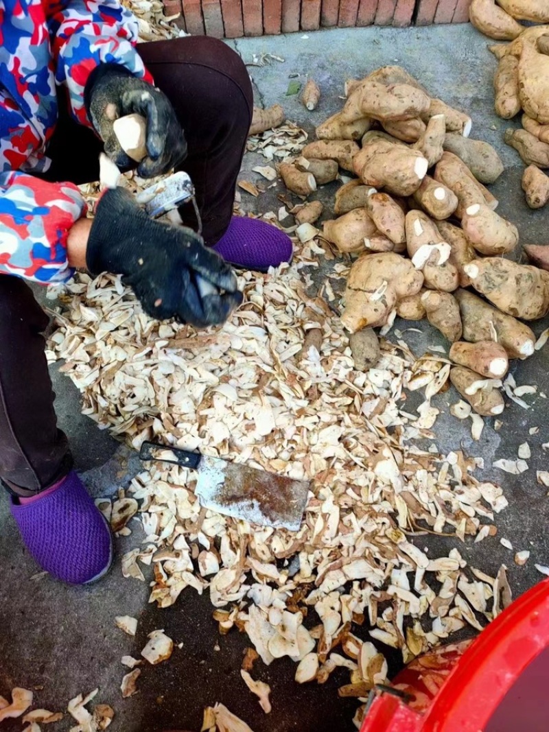 五盖山高山红薯干，红薯粉
