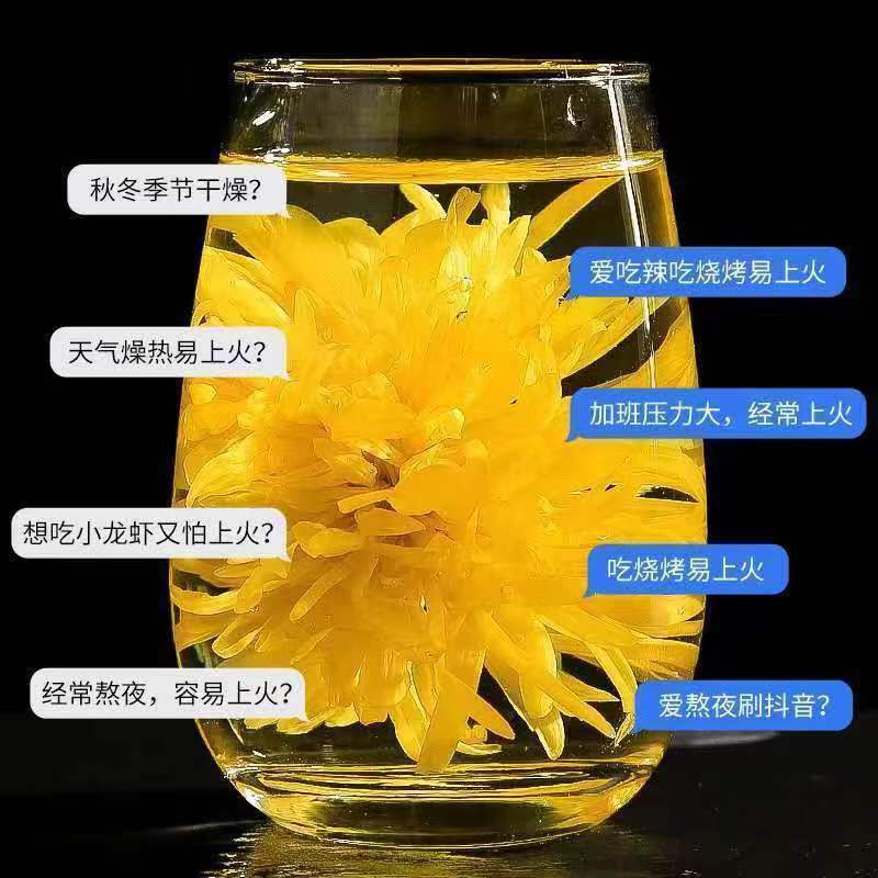 【精选】安徽亳州谯城区一手货源金丝皇菊欢迎采购