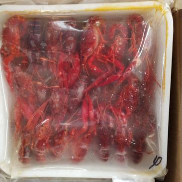 潜江优质速冻清水虾:产地直发:全国发货包运费欢迎下单订购