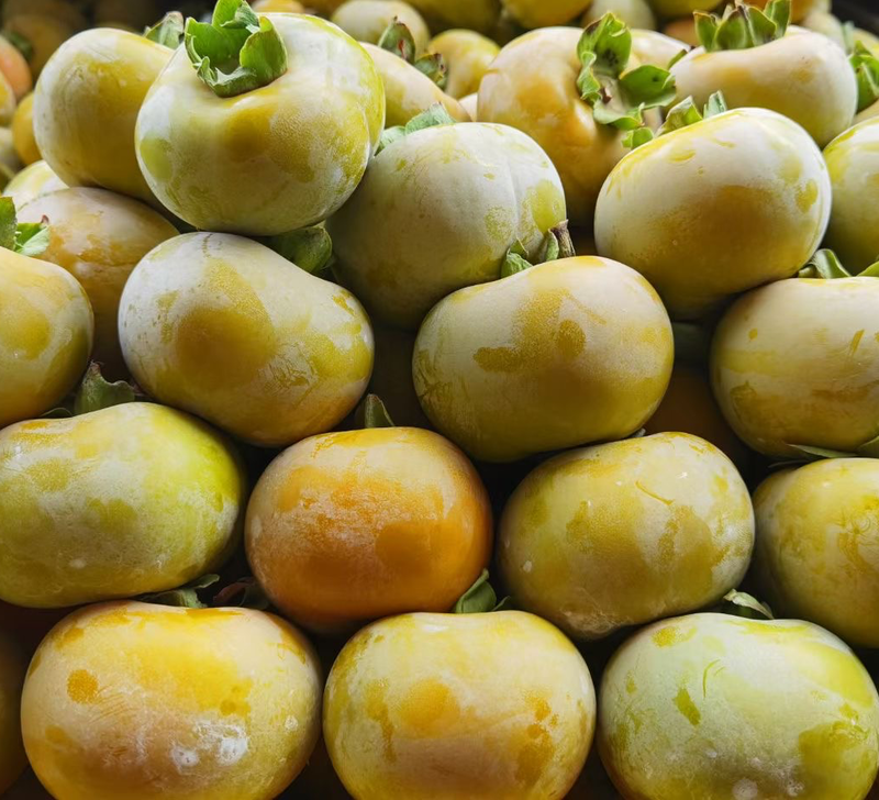 桂林高品质脆柿，产地货源，支持一件代发，欢迎各大平台对接