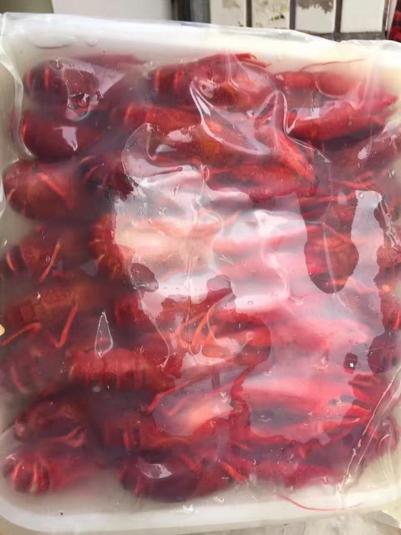 潜江优质速冻清水虾:产地直发:全国发货包运费欢迎下单订购