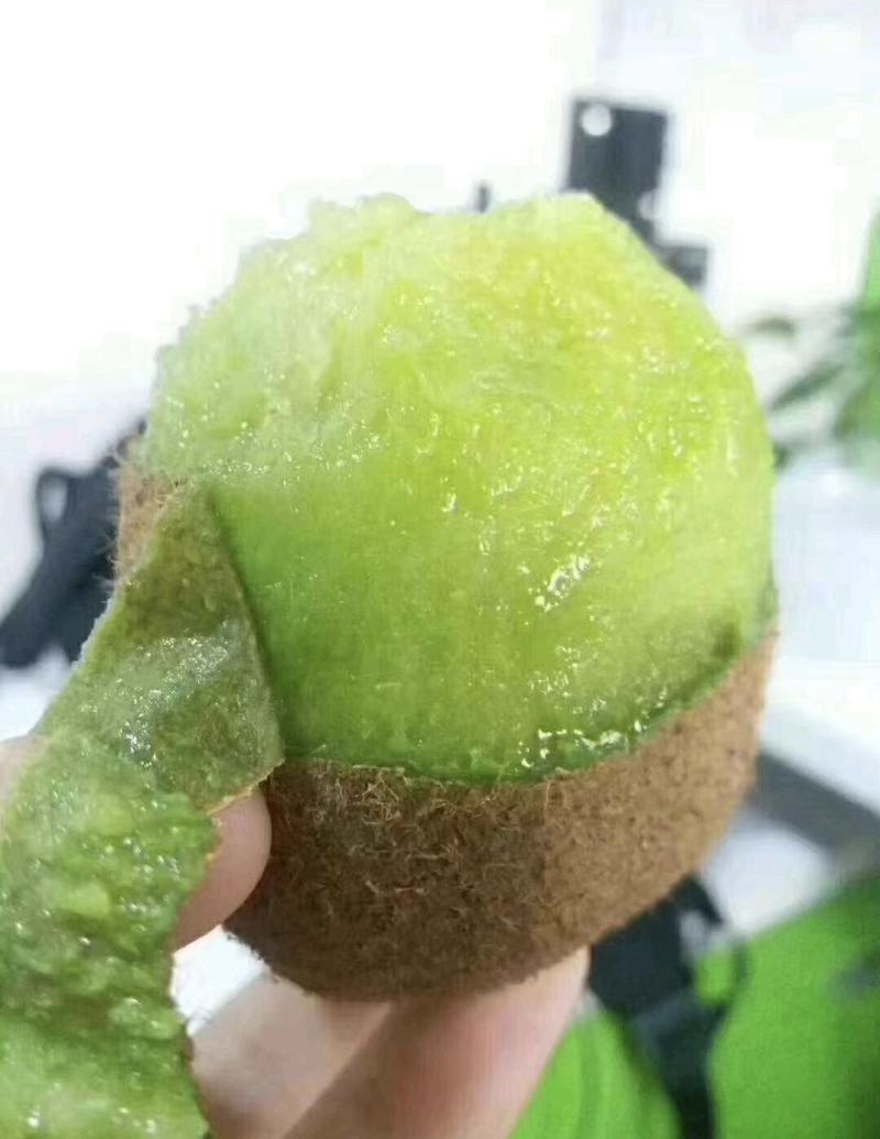 徐香猕猴桃，陕西宝鸡，自家果园，现摘现发