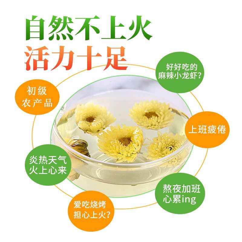 【精选】中药材之都安徽亳州谯城区菊花胎菊质量保证
