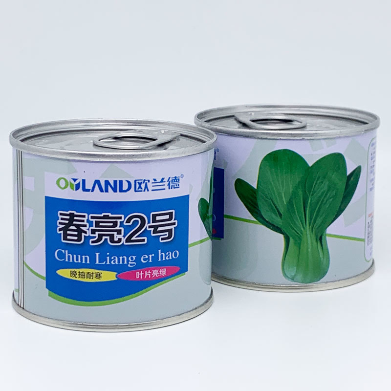 欧兰德夏波帝耐热青梗菜种