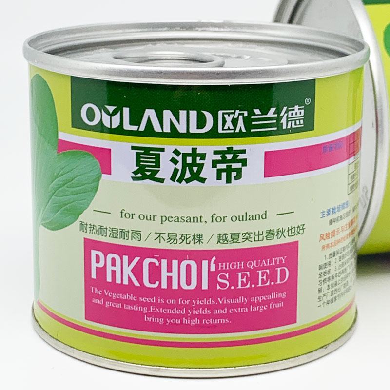 欧兰德夏波帝耐热青梗菜种