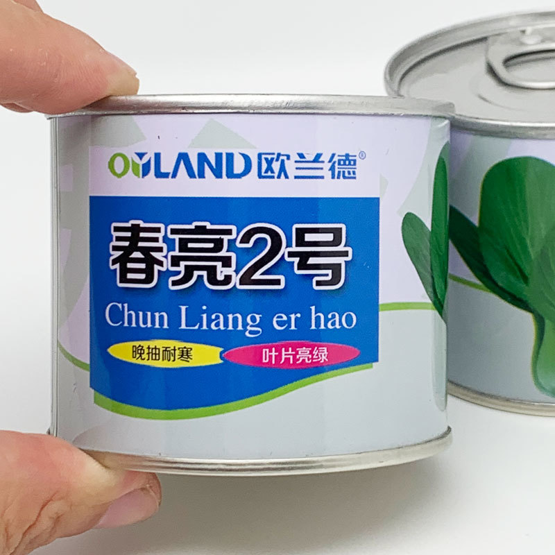 欧兰德夏波帝耐热青梗菜种