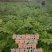 黄菠萝安阳大量供应