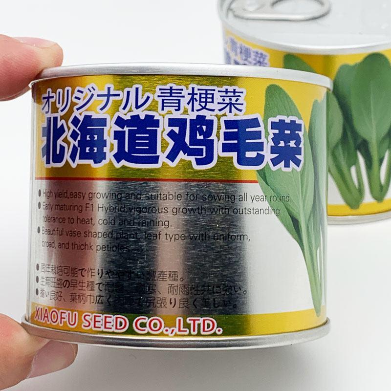 北海道鸡毛菜青菜种子耐热耐湿耐寒甜脆青菜种子100克原装