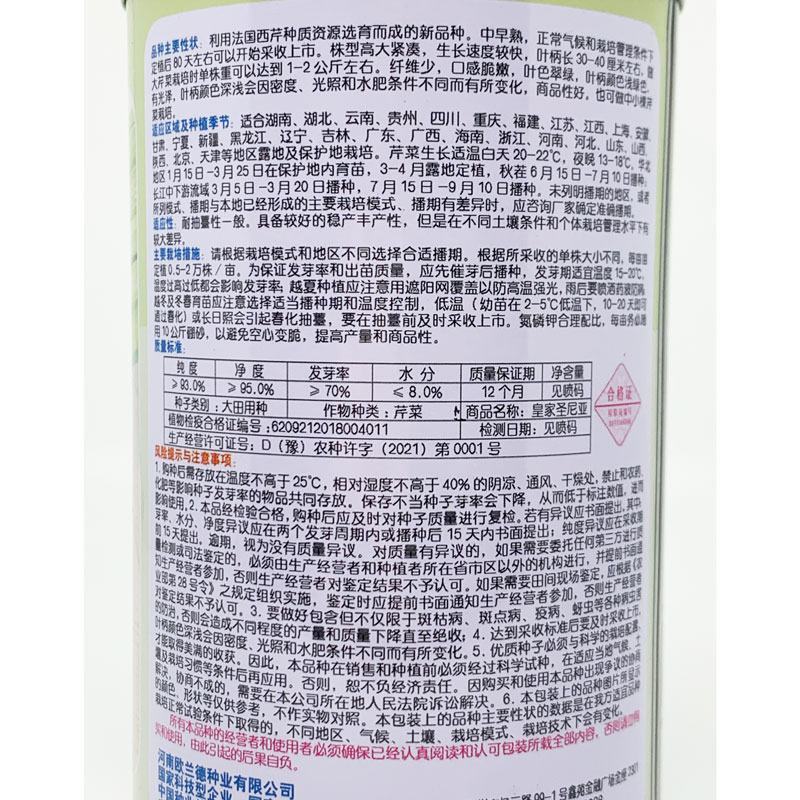 欧兰德皇家圣尼亚黄嫩西芹种子耐寒实心西芹80天采收原装