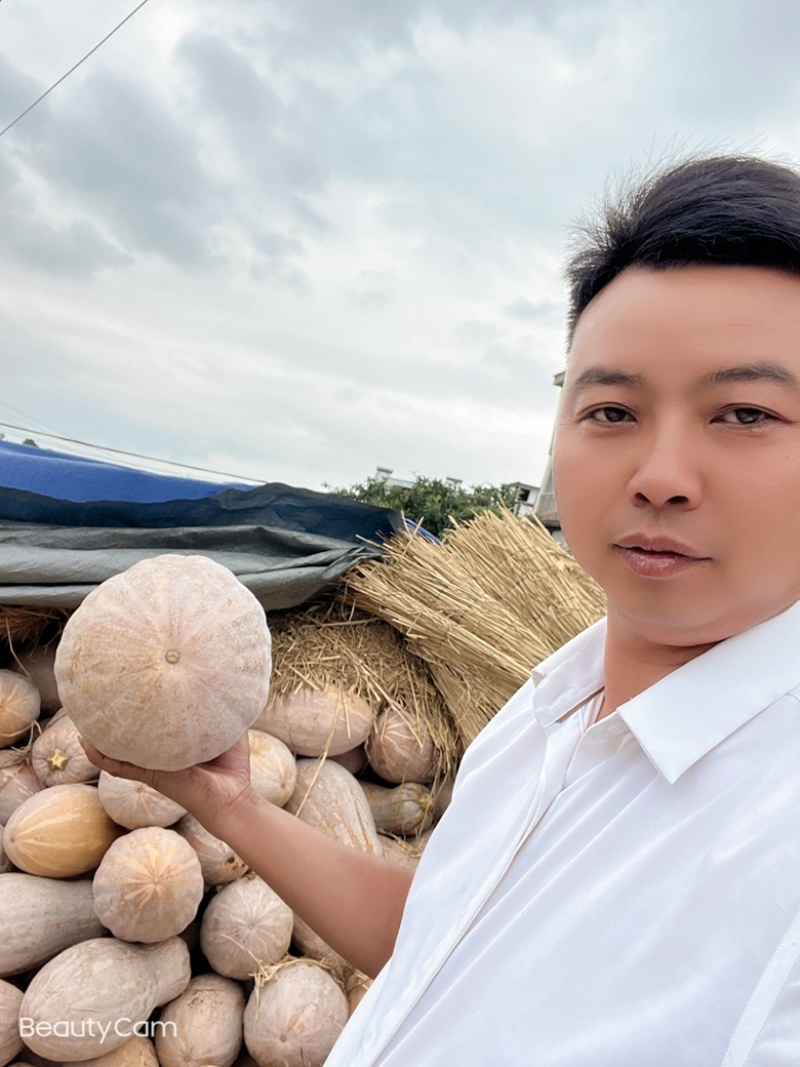 贵州黔西蜜本南瓜