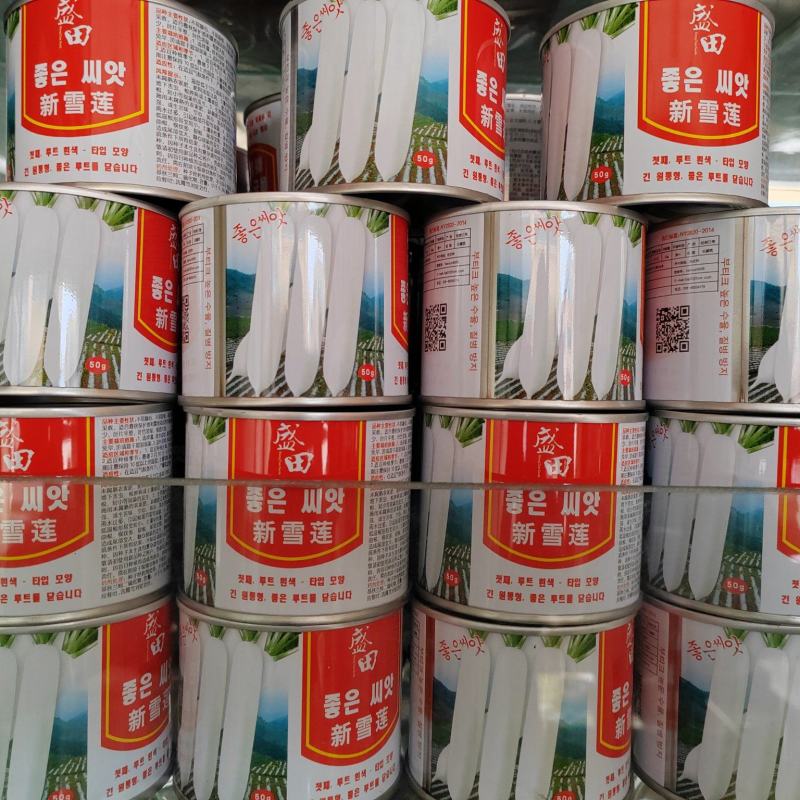 白玉春萝卜种不易康心薄皮韩国萝卜种子厚皮长白萝卜种子