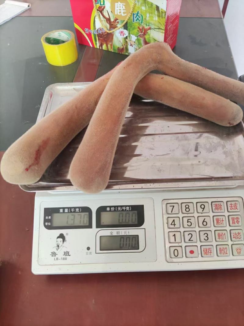 纯种梅花鹿标准二杠鹿茸头茬鹿茸鹿茸六大好处