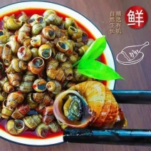 楚螺香加热即食，火爆销售中，麻辣鲜香，产地发货