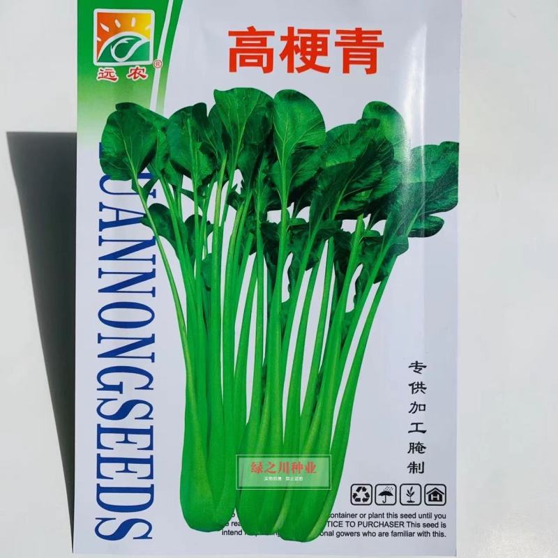 加工腌制专用菜种子高梗青种子腌酸菜种子生长快产量高