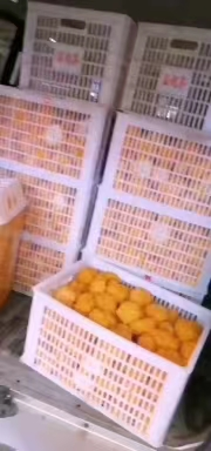 鲜金耳