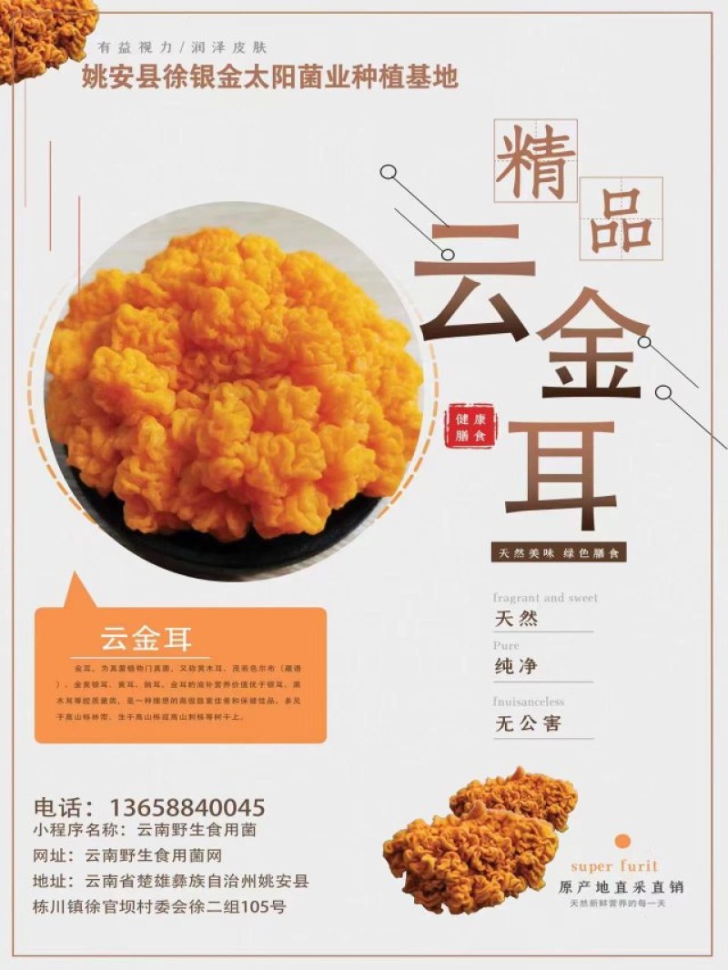 鲜金耳