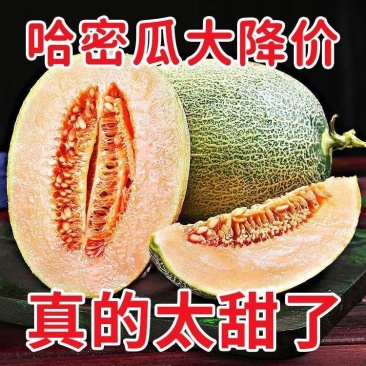 小蜜25.西州蜜，哈密瓜，山东潍坊青州，寿光昌乐主产区，