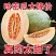 小蜜25.西州蜜，哈密瓜，山东潍坊青州，寿光昌乐主产区，