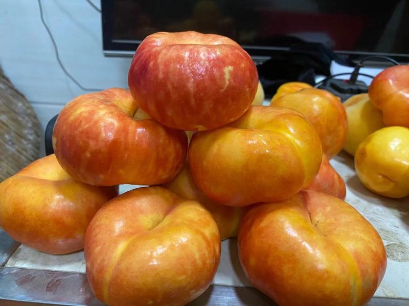 中油蟠7，油蟠桃树苗，7月中旬左右成熟，黄肉，大果形丰产