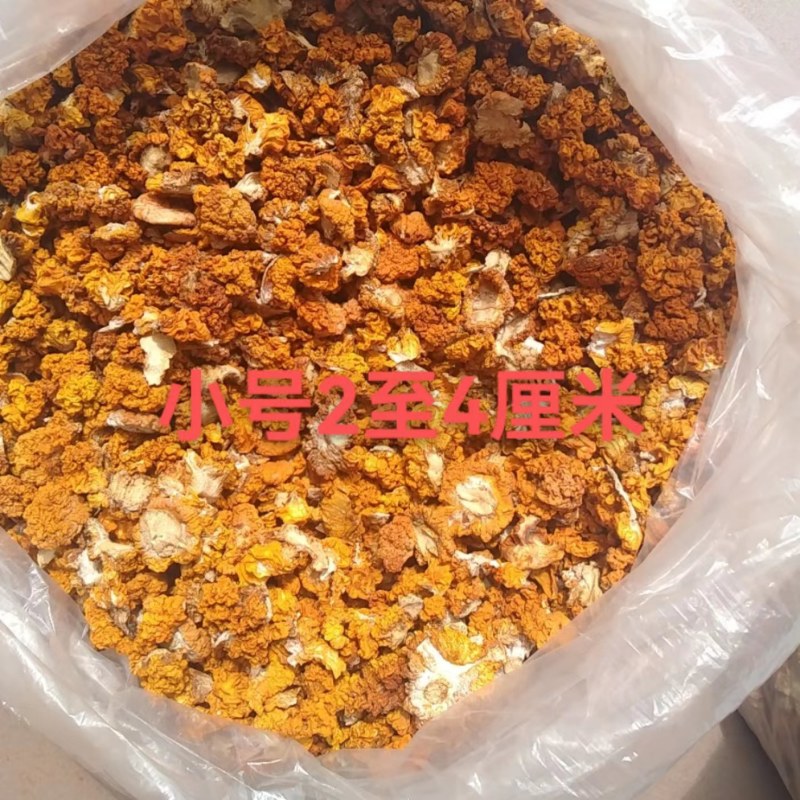 2022新品足干金耳精选优品