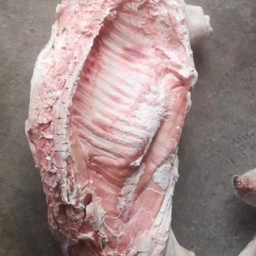 白条猪肥猪冷冻猪肉现货品质保障